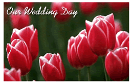 Free "Red Tulip Garden" Wedding Invitation Template
