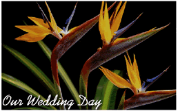 Free "Paradise Flowers" Wedding Invitation Template